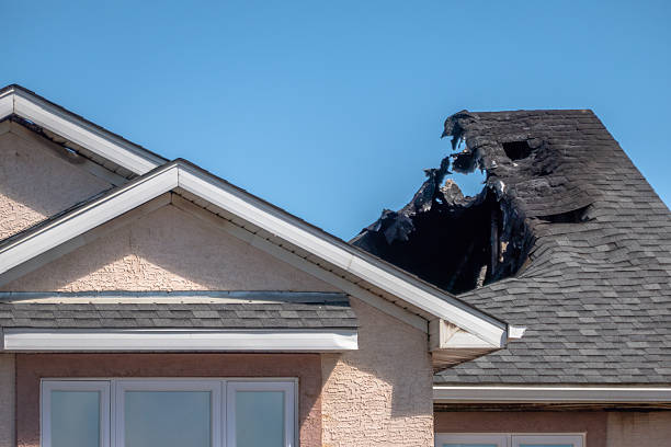 Top rated local Odor Removal specialists in Kensington, MD